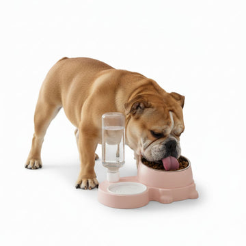 Comedero y Bebedero 2 en 1 con Dispensador de Agua para Mascotas Perro Gato