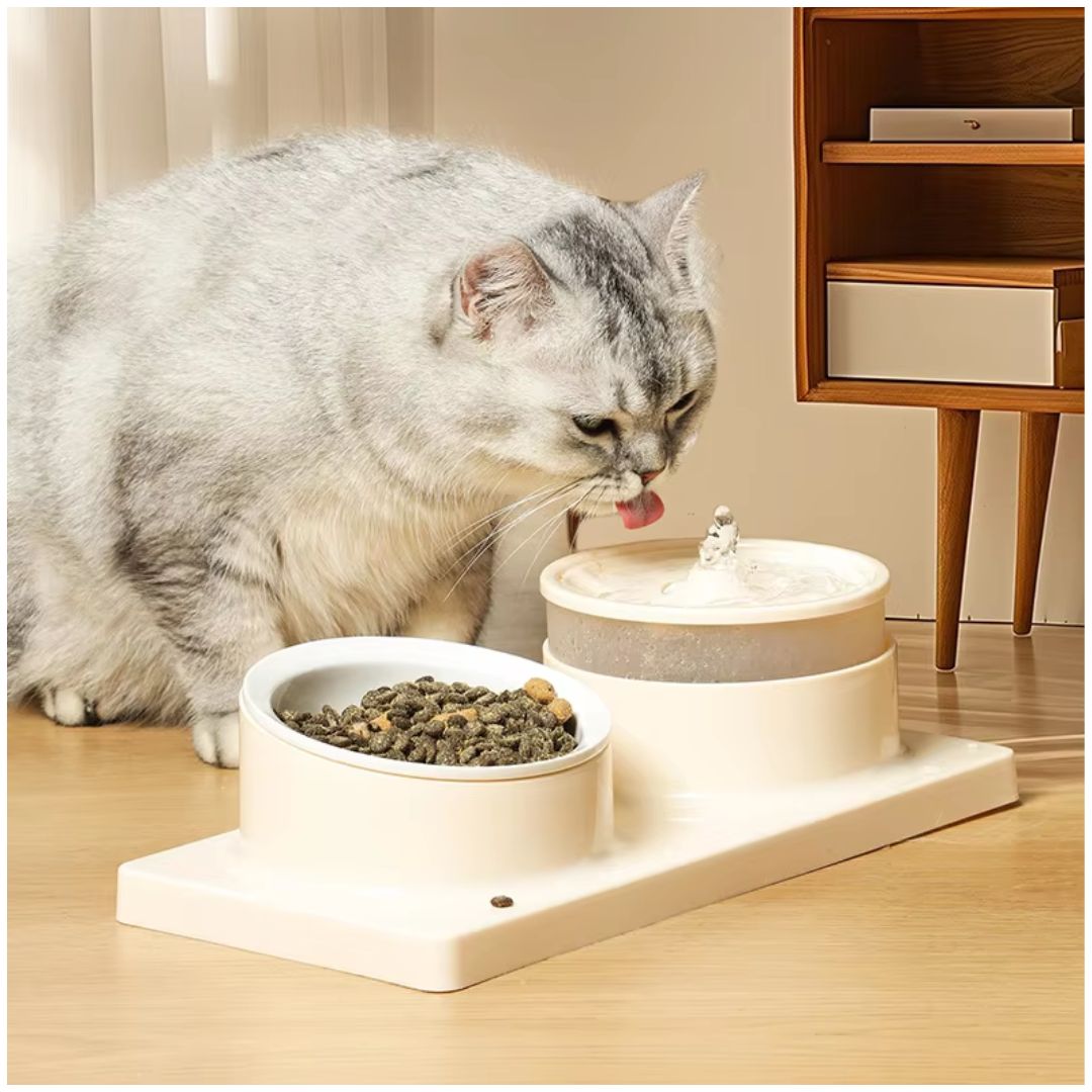 Comedero y Bebedero con Fuente de Agua Eléctrico para Mascotas Gato Perro