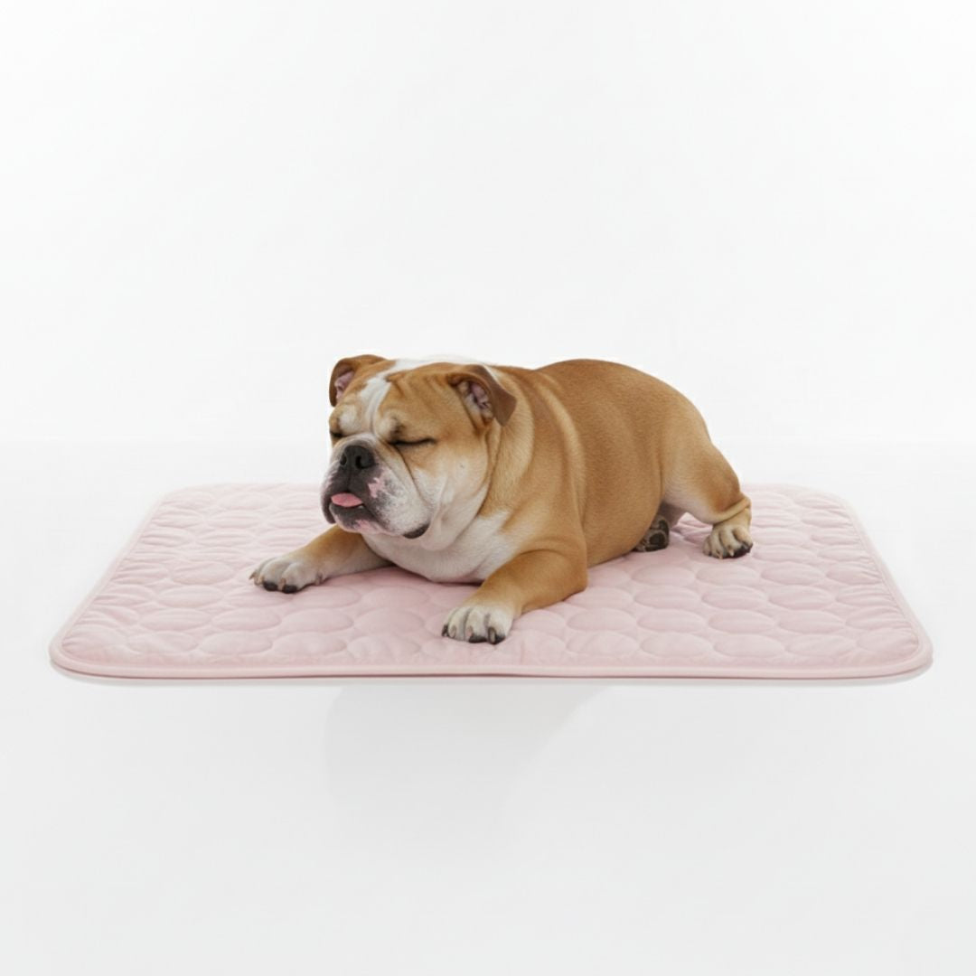 Manta Refrescante para Mascotas Alfombrilla de Enfriamiento para Perros 70x100cm