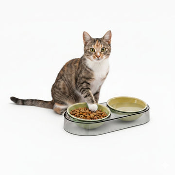 Plato Comedero Bebedero Doble Cuenco Moderno para Mascotas Perros y Gatos