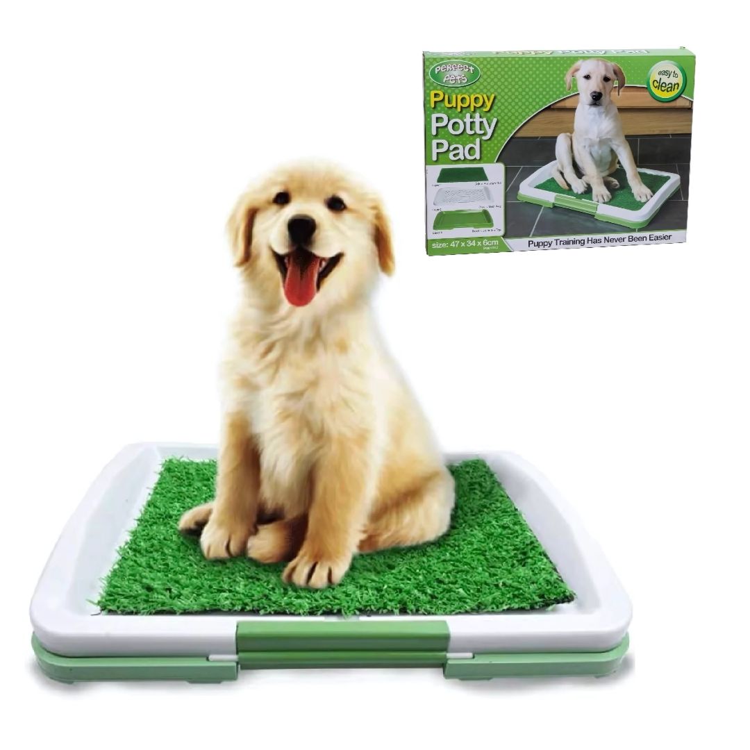 Baño Sanitario para Mascotas Bandeja con Pasto Entrenamiento para Perros