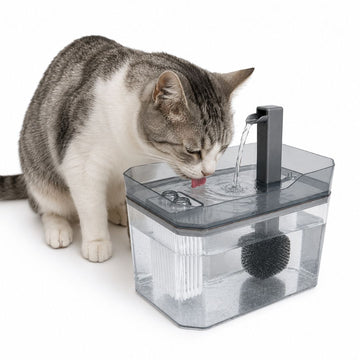 Bebedero Fuente Eléctrica de Agua Circulante para Mascotas Gato Perro