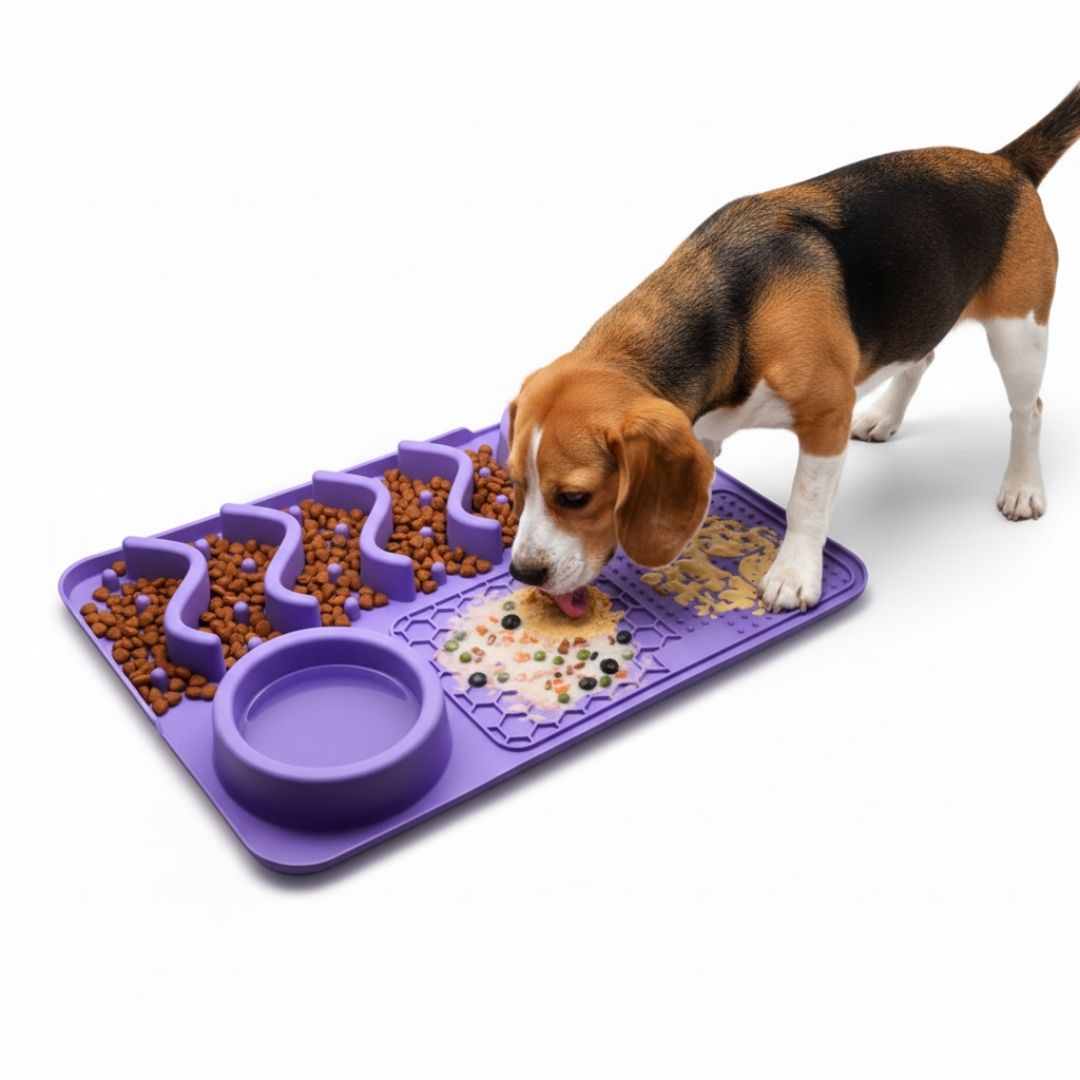Plato Antiestrés para Mascotas Mejora Digestión Perros y Gatos 5 en 1 Comedero Bebedero