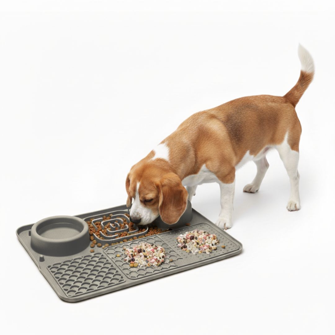 Plato Antiestrés para Mascotas Mejora Digestión Perros y Gatos 6 en 1 Comedero Bebedero