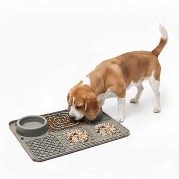 Plato Antiestrés para Mascotas Mejora Digestión Perros y Gatos 6 en 1 Comedero Bebedero