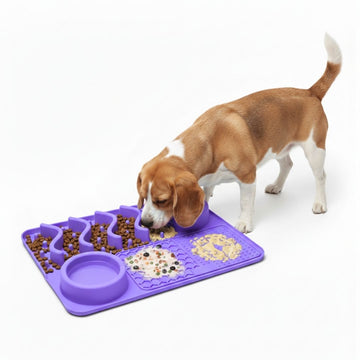 Plato Antiestrés para Mascotas Mejora Digestión Perros y Gatos 5 en 1 Comedero Bebedero