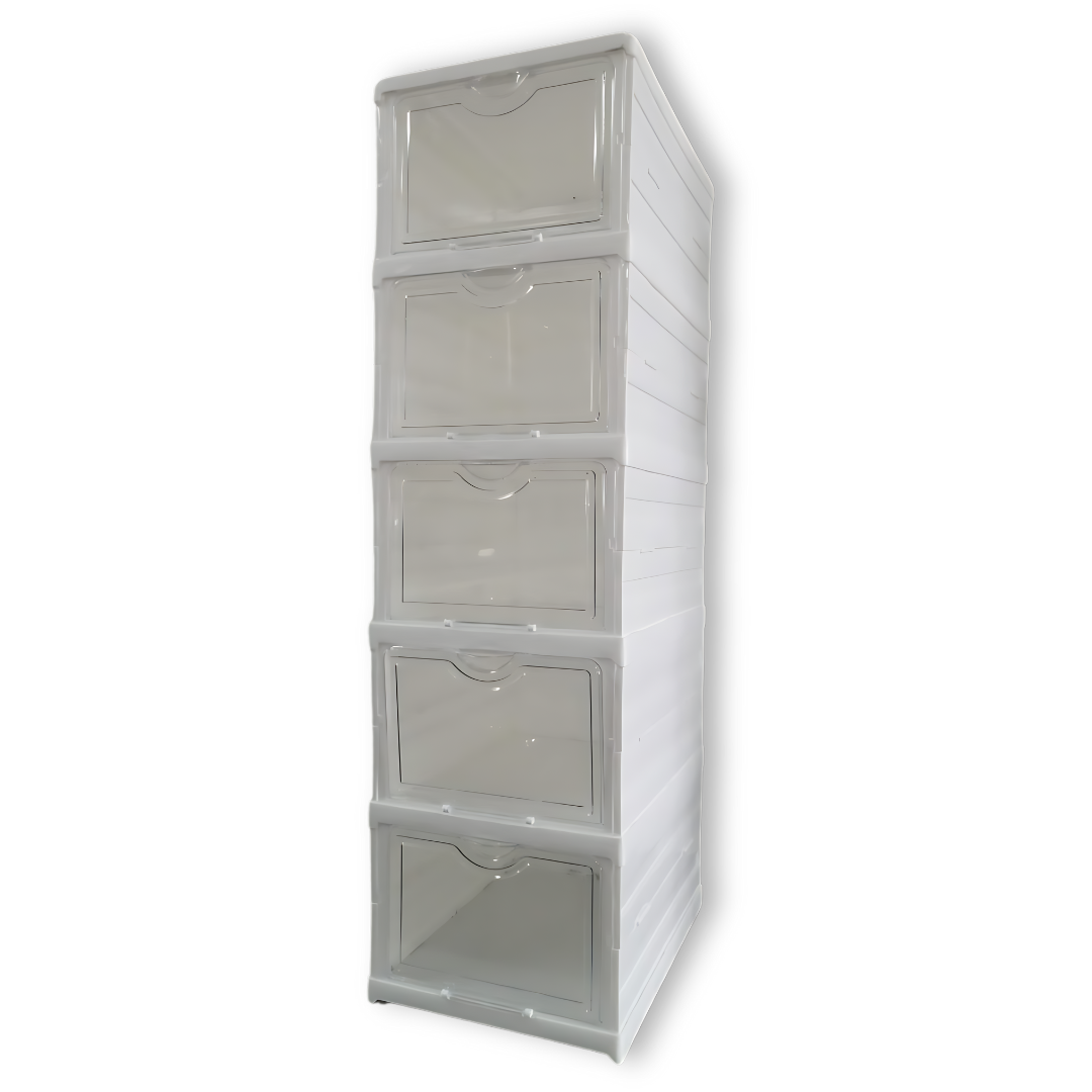 Organizador Zapatera De 5 niveles Plegable Acrílico