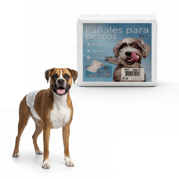 Pack x12 Pañal para Perros Macho Talla XL Absorbente Ajustable