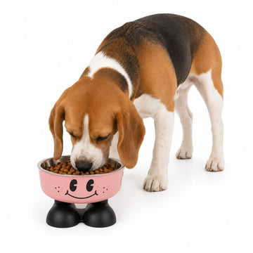 Plato Comedero Elevado para Mascotas Antideslizante Carita Feliz Perros y Gatos