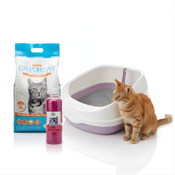 Pack x3 Caja de Arena Arenero Gato 20x40x48cm + Arena 5L + Aromatizador Aleatorio